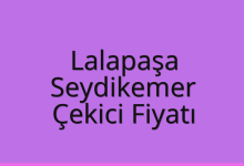 Lalapaşa Çekici Fiyatı – Seydikemer Oto Kurtarıcı Ücreti