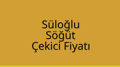 Süloğlu Çekici Fiyatı – Söğüt Oto Kurtarıcı Ücreti