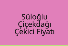 Süloğlu Çekici Fiyatı – Çiçekdağı Oto Kurtarıcı Ücreti