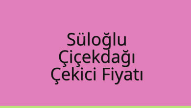 Süloğlu Çekici Fiyatı - Çiçekdağı Oto Kurtarıcı Ücreti Süloğlu Çekici Fiyatı – Çiçekdağı Oto Kurtarıcı Ücreti