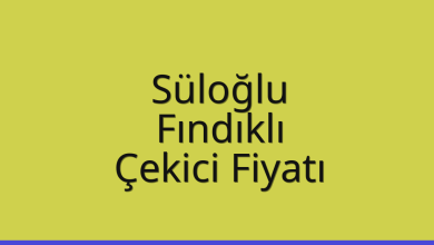 Süloğlu Çekici Fiyatı – Fındıklı Oto Kurtarıcı Ücreti