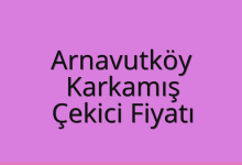 Arnavutköy Çekici Fiyatı – Karkamış Oto Kurtarıcı Ücreti