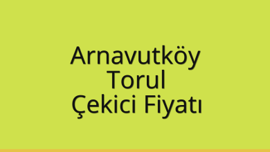Arnavutköy Çekici Fiyatı - Torul Oto Kurtarıcı Ücreti Arnavutköy Çekici Fiyatı – Torul Oto Kurtarıcı Ücreti