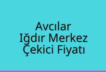 Avcılar Çekici Fiyatı – Iğdır Merkez Oto Kurtarıcı Ücreti