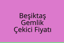 Beşiktaş Çekici Fiyatı – Gemlik Oto Kurtarıcı Ücreti