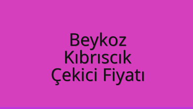 Beykoz Çekici Fiyatı – Kıbrıscık Oto Kurtarıcı Ücreti