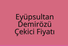 Eyüpsultan Çekici Fiyatı – Demirözü Oto Kurtarıcı Ücreti