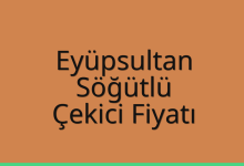Eyüpsultan Çekici Fiyatı – Söğütlü Oto Kurtarıcı Ücreti