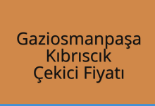 Gaziosmanpaşa Çekici Fiyatı – Kıbrıscık Oto Kurtarıcı Ücreti