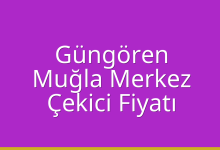 Güngören Çekici Fiyatı – Muğla Merkez Oto Kurtarıcı Ücreti