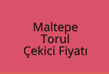 Maltepe Çekici Fiyatı – Torul Oto Kurtarıcı Ücreti
