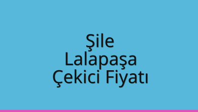 Şile Çekici Fiyatı – Lalapaşa Oto Kurtarıcı Ücreti