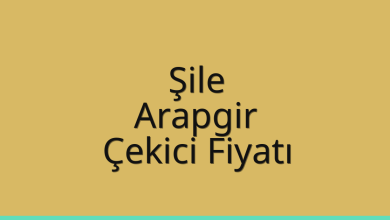 Şile Çekici Fiyatı – Arapgir Oto Kurtarıcı Ücreti