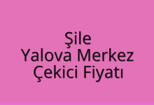 Şile Çekici Fiyatı – Yalova Merkez Oto Kurtarıcı Ücreti