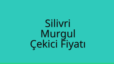 Silivri Çekici Fiyatı - Murgul Oto Kurtarıcı Ücreti Silivri Çekici Fiyatı – Murgul Oto Kurtarıcı Ücreti