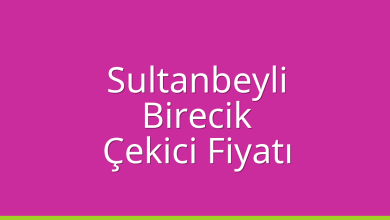 Sultanbeyli Çekici Fiyatı – Birecik Oto Kurtarıcı Ücreti