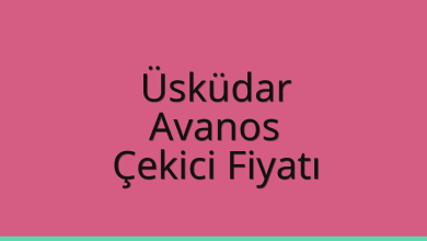 Üsküdar Çekici Fiyatı – Avanos Oto Kurtarıcı Ücreti
