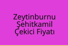 Zeytinburnu Çekici Fiyatı – Şehitkamil Oto Kurtarıcı Ücreti