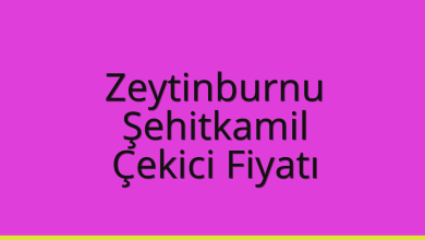 Zeytinburnu Çekici Fiyatı - Şehitkamil Oto Kurtarıcı Ücreti Zeytinburnu Çekici Fiyatı – Şehitkamil Oto Kurtarıcı Ücreti