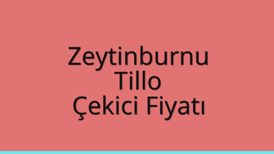 Zeytinburnu Çekici Fiyatı – Tillo Oto Kurtarıcı Ücreti
