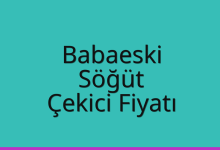 Babaeski Çekici Fiyatı – Söğüt Oto Kurtarıcı Ücreti