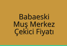 Babaeski Çekici Fiyatı – Muş Merkez Oto Kurtarıcı Ücreti