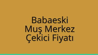 Babaeski Çekici Fiyatı – Muş Merkez Oto Kurtarıcı Ücreti