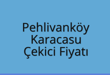 Pehlivanköy Çekici Fiyatı – Karacasu Oto Kurtarıcı Ücreti