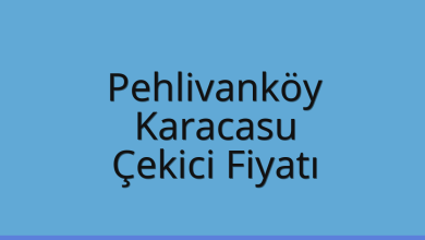 Pehlivanköy Çekici Fiyatı – Karacasu Oto Kurtarıcı Ücreti