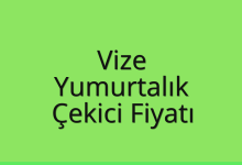 Vize Çekici Fiyatı – Yumurtalık Oto Kurtarıcı Ücreti