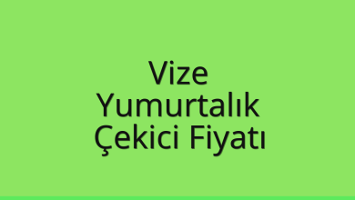 Vize Çekici Fiyatı – Yumurtalık Oto Kurtarıcı Ücreti