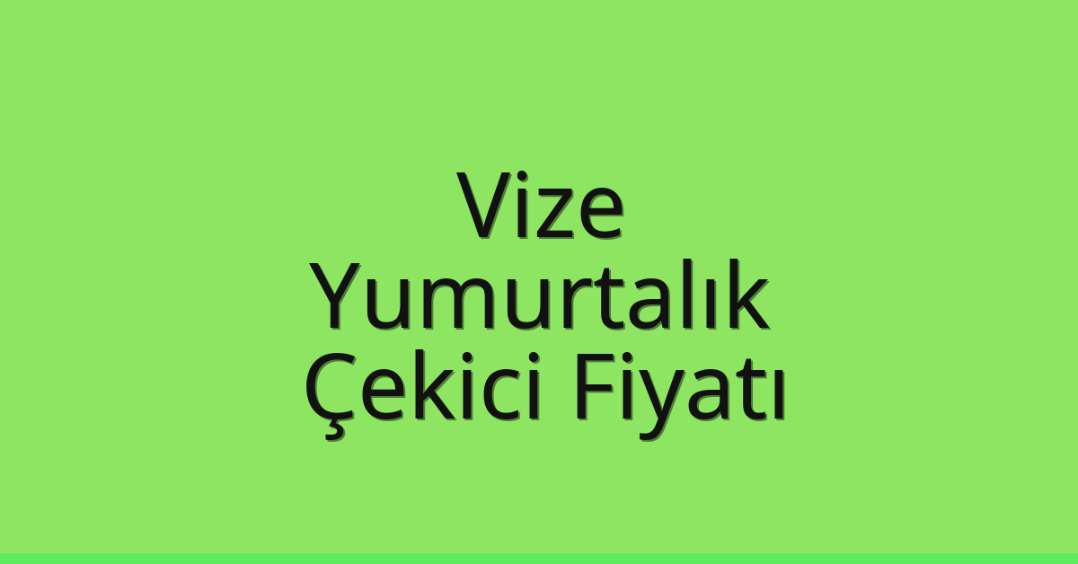 Vize Çekici Fiyatı – Yumurtalık Oto Kurtarıcı Ücreti