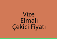 Vize Çekici Fiyatı – Elmalı Oto Kurtarıcı Ücreti