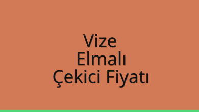 Vize Çekici Fiyatı – Elmalı Oto Kurtarıcı Ücreti