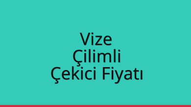 Vize Çekici Fiyatı – Çilimli Oto Kurtarıcı Ücreti