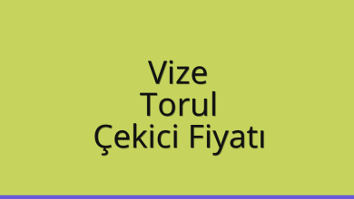 Vize Çekici Fiyatı – Torul Oto Kurtarıcı Ücreti