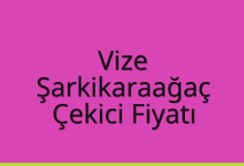 Vize Çekici Fiyatı – Şarkikaraağaç Oto Kurtarıcı Ücreti