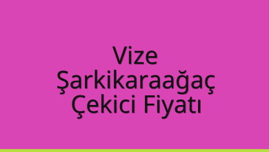 Vize Çekici Fiyatı – Şarkikaraağaç Oto Kurtarıcı Ücreti