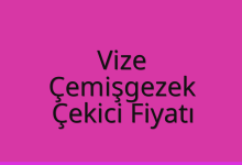 Vize Çekici Fiyatı – Çemişgezek Oto Kurtarıcı Ücreti