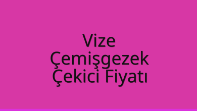Vize Çekici Fiyatı – Çemişgezek Oto Kurtarıcı Ücreti