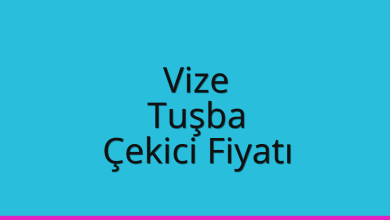 Vize Çekici Fiyatı – Tuşba Oto Kurtarıcı Ücreti