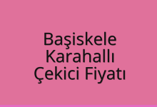 Başiskele Çekici Fiyatı – Karahallı Oto Kurtarıcı Ücreti