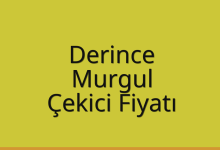 Derince Çekici Fiyatı – Murgul Oto Kurtarıcı Ücreti