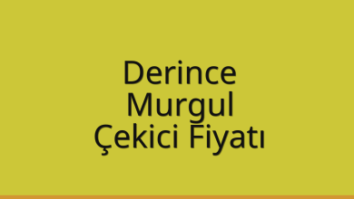 Derince Çekici Fiyatı – Murgul Oto Kurtarıcı Ücreti