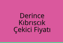 Derince Çekici Fiyatı – Kıbrıscık Oto Kurtarıcı Ücreti