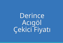 Derince Çekici Fiyatı – Acıgöl Oto Kurtarıcı Ücreti