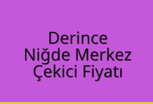 Derince Çekici Fiyatı – Niğde Merkez Oto Kurtarıcı Ücreti