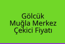 Gölcük Çekici Fiyatı – Muğla Merkez Oto Kurtarıcı Ücreti