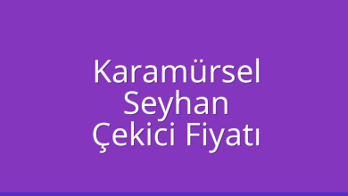 Karamürsel Çekici Fiyatı – Seyhan Oto Kurtarıcı Ücreti