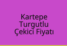 Kartepe Çekici Fiyatı – Turgutlu Oto Kurtarıcı Ücreti